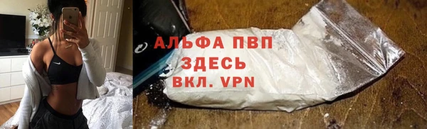 сатива Баксан