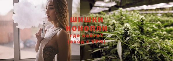 сатива Баксан