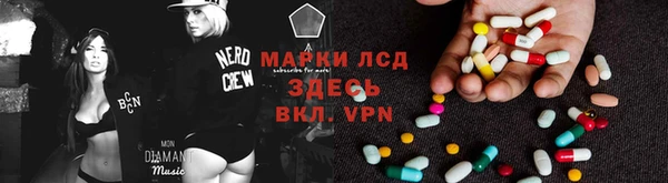 сатива Баксан